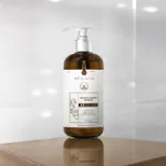 Bộ Weilaiya Zingiber X2 Ginger Essence Gội Xả Gừng Nâu
