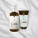 Bộ Weilaiya Zingiber X2 Ginger Essence Gội Xả Gừng Nâu