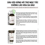 Bộ Weilaiya Zingiber X2 Ginger Essence Gội Xả Gừng Nâu