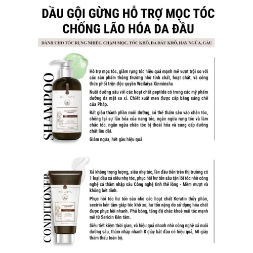 Bộ Weilaiya Zingiber X2 Ginger Essence Gội Xả Gừng Nâu