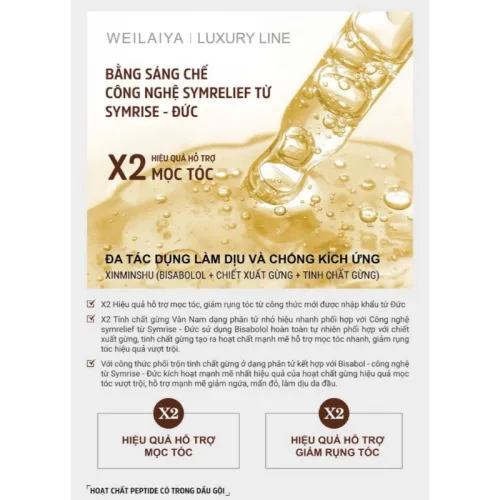 Shop sỉ combo Dầu Gội Xả Gừng Weilaiya Màu Xanh Zingiber Detox X2 Ginger Essence Giúp Tóc Bóng Khỏe Giảm Gãy Rụng