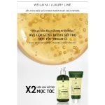 Shop sỉ combo Dầu Gội Xả Gừng Weilaiya Màu Xanh Zingiber Detox X2 Ginger Essence Giúp Tóc Bóng Khỏe Giảm Gãy Rụng