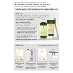 Shop sỉ combo Dầu Gội Xả Gừng Weilaiya Màu Xanh Zingiber Detox X2 Ginger Essence Giúp Tóc Bóng Khỏe Giảm Gãy Rụng