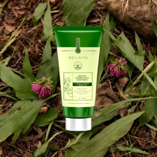 Shop sỉ combo Dầu Gội Xả Gừng Weilaiya Màu Xanh Zingiber Detox X2 Ginger Essence Giúp Tóc Bóng Khỏe Giảm Gãy Rụng