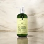 Shop sỉ combo Dầu Gội Xả Gừng Weilaiya Màu Xanh Zingiber Detox X2 Ginger Essence Giúp Tóc Bóng Khỏe Giảm Gãy Rụng
