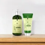 Shop sỉ combo Dầu Gội Xả Gừng Weilaiya Màu Xanh Zingiber Detox X2 Ginger Essence Giúp Tóc Bóng Khỏe Giảm Gãy Rụng