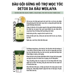 Shop sỉ combo Dầu Gội Xả Gừng Weilaiya Màu Xanh Zingiber Detox X2 Ginger Essence Giúp Tóc Bóng Khỏe Giảm Gãy Rụng