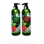 Combo dầu gội và dầu xả VALERT Grapefruit Repair Essence 850ml