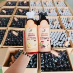 Chỗ sỉ combo Dầu Gội Xả Nhân Sâm Đỏ X6 Dr Di Hi
