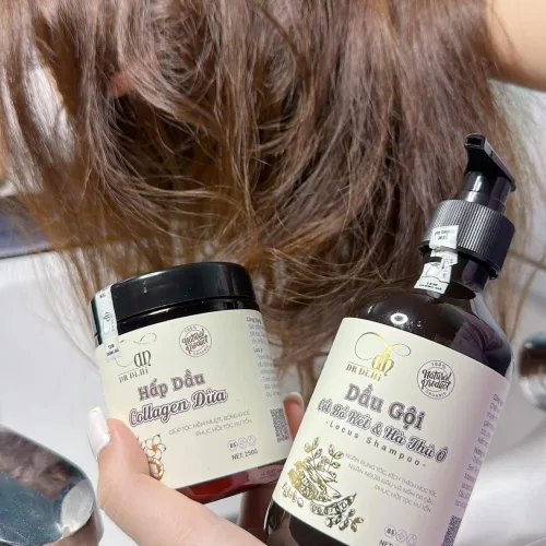 Shop sỉ combo Gội Xả Xịt Bồ Kết Bưởi Dừa Dr Di Hi