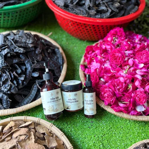 Shop sỉ combo Gội Xả Xịt Bồ Kết Bưởi Dừa Dr Di Hi