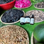 Shop sỉ combo Gội Xả Xịt Bồ Kết Bưởi Dừa Dr Di Hi