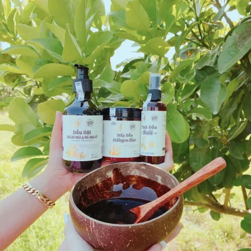 Shop sỉ combo Gội Xả Xịt Bồ Kết Bưởi Dừa Dr Di Hi