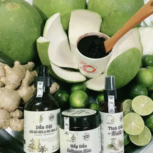 Shop sỉ combo Gội Xả Xịt Bồ Kết Bưởi Dừa Dr Di Hi