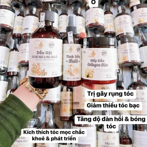 Shop sỉ combo Gội Xả Xịt Bồ Kết Bưởi Dừa Dr Di Hi