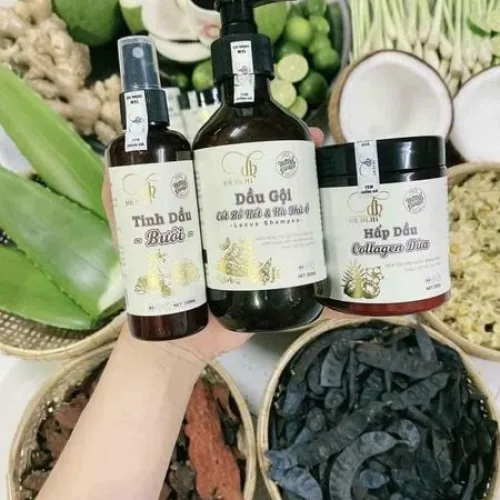 Shop sỉ combo Gội Xả Xịt Bồ Kết Bưởi Dừa Dr Di Hi