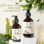 Shop sỉ combo Gội Xả Xịt Bồ Kết Bưởi Dừa Dr Di Hi