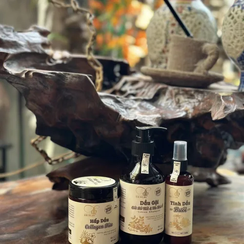 Shop sỉ combo Gội Xả Xịt Bồ Kết Bưởi Dừa Dr Di Hi