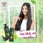 Dầu gội dược liệu Nguyên Xuân xanh lá đậm 450ml - 520g cho tóc hư tổn