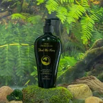Dầu gội thảo dược Thanh Mộc Hương – khối lượng 350gr