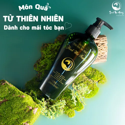 Dầu gội thảo dược Thanh Mộc Hương – khối lượng 350gr