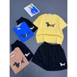 Bộ thể thao nữ cotton áo thun cổ tròn tay ngắn và quần đùi, size 45-62kg