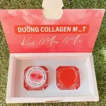 Chuyên sỉ dưỡng Môi Collagen Kích Màu Môi M&T