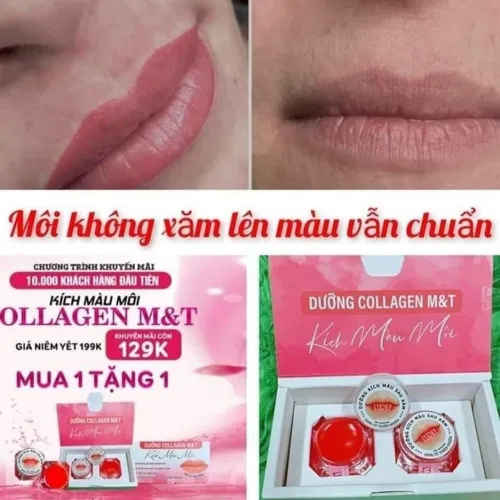 Chuyên sỉ dưỡng Môi Collagen Kích Màu Môi M&T