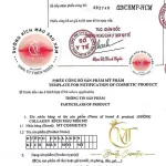 Chuyên sỉ dưỡng Môi Collagen Kích Màu Môi M&T