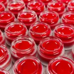 LIPSHE Beauty Dưỡng Hồng Môi Collagen Lựu Đỏ 5g