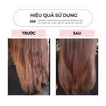 Chuyên sỉ kem Hấp Ủ Tóc Tảo Biển Seaweed Golen Esence Nice Cosmetic 1000ml