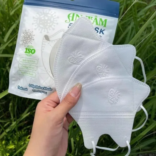 Chỗ sỉ hộp 100 Khẩu Trang Y Tế An Tâm - Khẩu Trang 3D