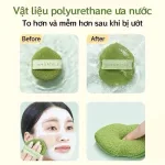 Chỗ sỉ hộp 3 Miếng Bông Mút Rửa Mặt Bọt Biển Amortals (Có Chữ)