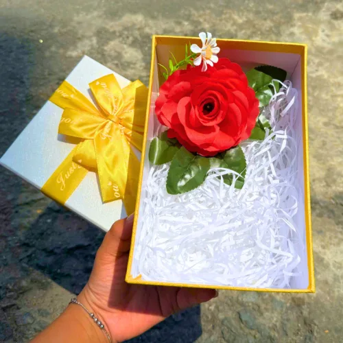 Chuyên sỉ hộp Quà Giấy Chữ Nhật Lớn Nhiều Màu Nắp Rời Có Thắt Nơ - Hộp Không Có Hoa Rơm