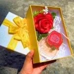 Chuyên sỉ hộp Quà Giấy Chữ Nhật Lớn Nhiều Màu Nắp Rời Có Thắt Nơ - Hộp Không Có Hoa Rơm