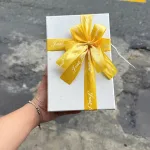Chuyên sỉ hộp Quà Giấy Chữ Nhật Lớn Nhiều Màu Nắp Rời Có Thắt Nơ - Hộp Không Có Hoa Rơm