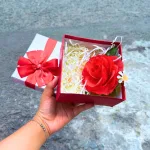 Shop sỉ hộp Quà Giấy Vuông Nhiều Màu Nắp Rời Đính Nơ Xinh - Hộp Vừa Không Có Hoa Rơm