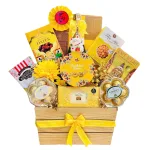 Shop sỉ hộp Quà Tết Rượu Bánh Kẹo - Quà Tặng Tết - Quà Trang Trí Tết
