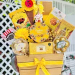 Shop sỉ hộp Quà Tết Rượu Bánh Kẹo - Quà Tặng Tết - Quà Trang Trí Tết