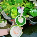 Mỹ phẩm SON Group: Kem Body Bưởi ưu đãi mua 1 tặng 1
