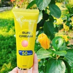 Chuyên sỉ kem Chống Nắng Sun Cream N Collagen
