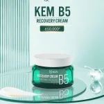 Shop sỉ kem B5 MQ Skin Dưỡng Trắng Da Recovery Cream