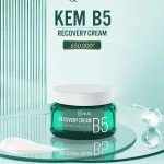 Shop sỉ kem B5 MQ Skin Dưỡng Trắng Da Recovery Cream