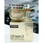 Chỗ sỉ kem Face Cốt Nám X3 Sica White Tinh Chất Sâm Vàng 30gr