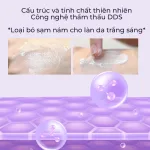 Chuyên sỉ kem Face DNA Pro Cá Hồi Collagen Cream V2 Meea Origin Mini 10g
