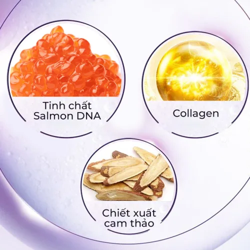 Chuyên sỉ kem Face DNA Pro Cá Hồi Collagen Cream V2 Meea Origin Mini 10g