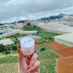 Nơi lấy sỉ kem Face Jiuhe Thanh Tô Cosmetics