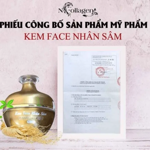 Nơi lấy sỉ kem Face Nhân Sâm N Collagen
