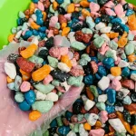Chuyên sỉ kẹo Socola Sỏi Đá 500g - Hộp Pet