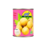 Long Nhãn Nước Đường Long An Quy Cách Lon 565g